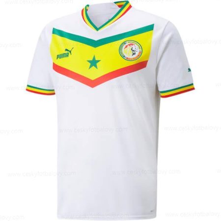 Senegal Domácí Dres 2022 Fotbalové Dresy